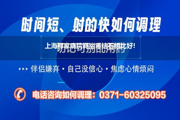 上海那家病院调治肾结石相比好!